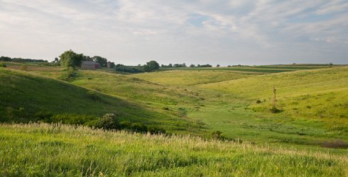 Prairie 