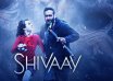 Shivaay