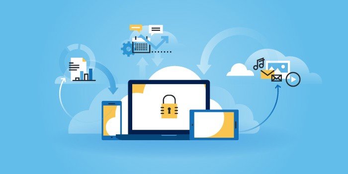 Wildcard SSL Certificate